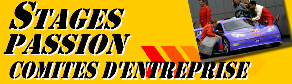 stages comités d'entreprise - conduite automobile
