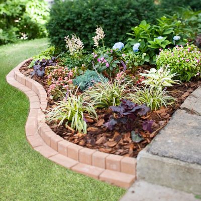 11 Low Maintenance Garden Border Ideas for Every Budget