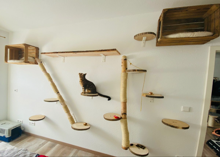 Cat Adventure and Escape Wall