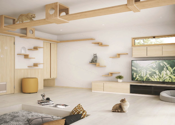 Built-In Cat Bedroom