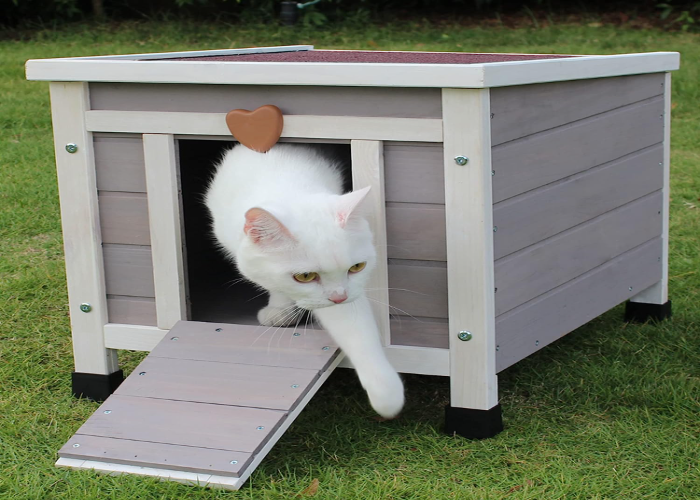  Cat House