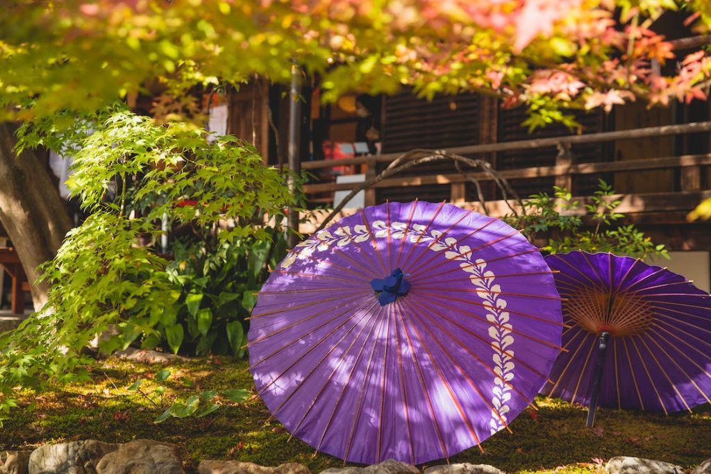 Asian Style Rock Garden