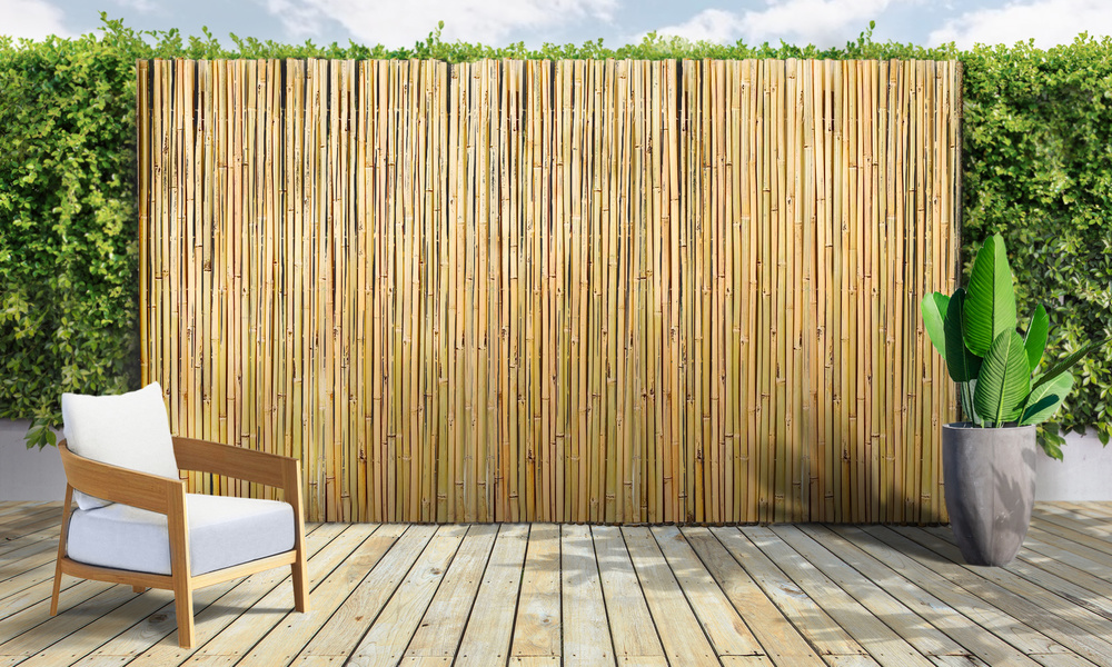 Bamboo Fence