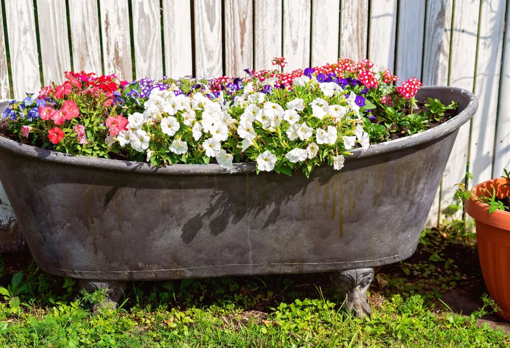 BathTub