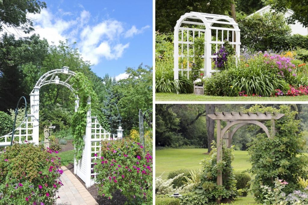  Beautify Your Side Yard with Arbor