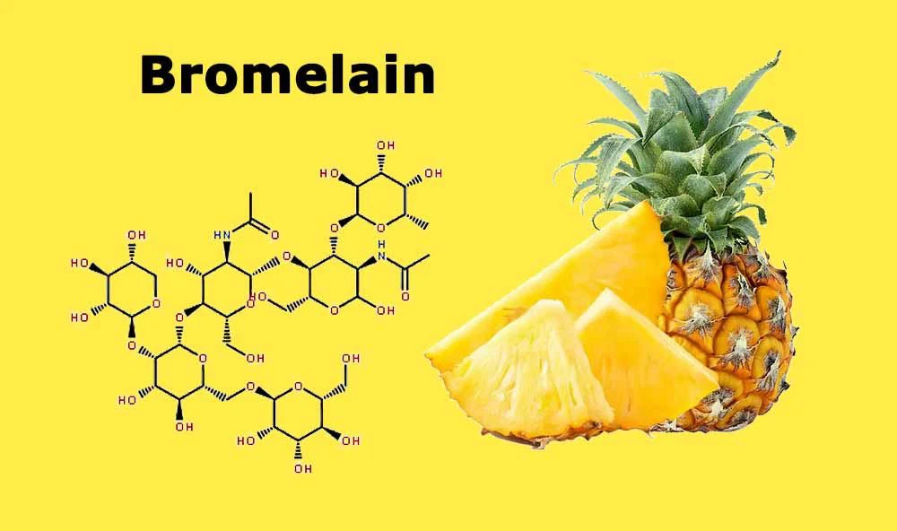 Bromelain - Pineapple's Protein-Digesting Powerhouse