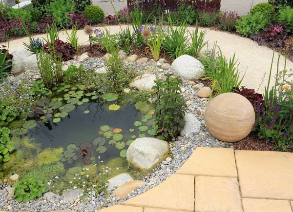 Build a Petite Pond