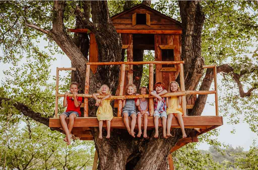 Building a Treehouse