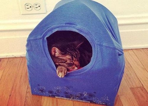 Cat Tent