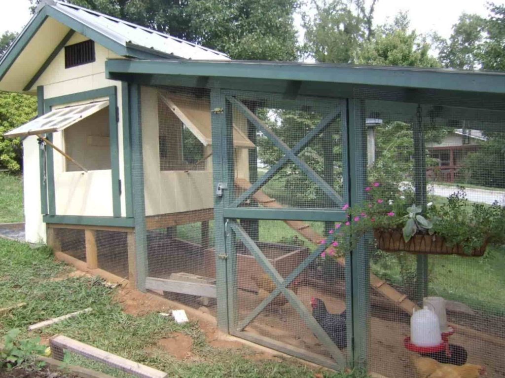 Chicken Coop