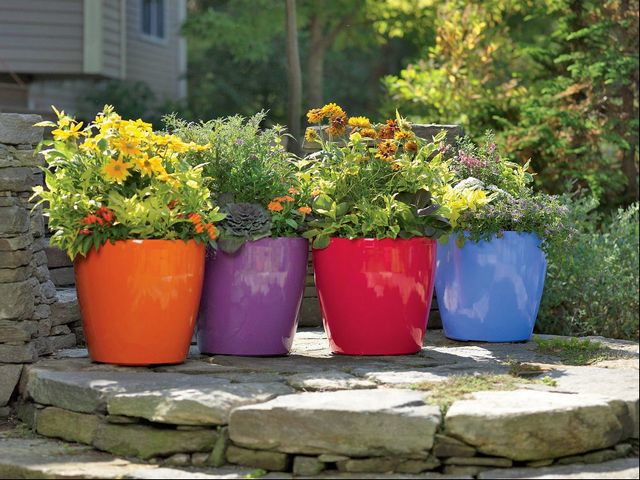 Color Containers