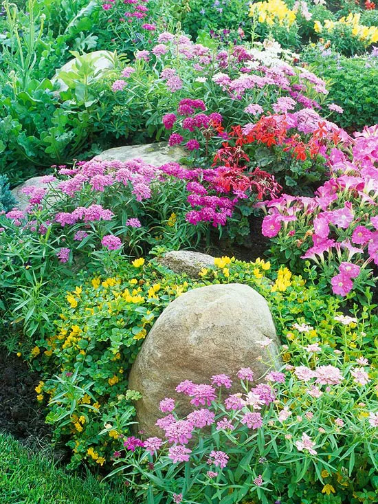 Cottage Garden Abundance