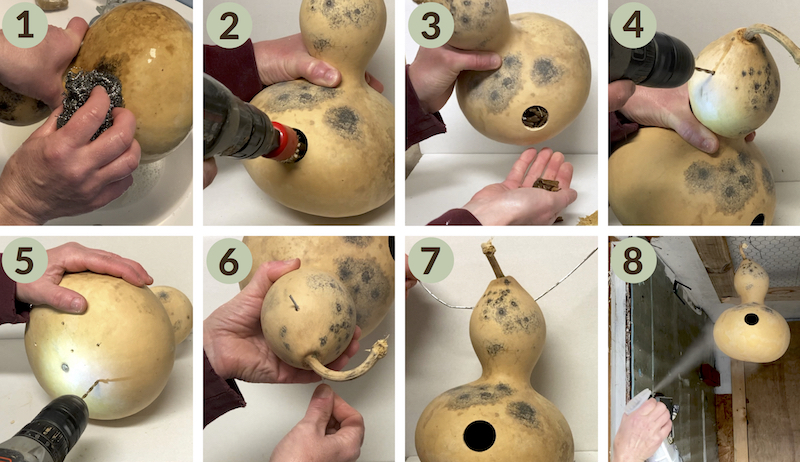 DIY Gourd Birdhouse