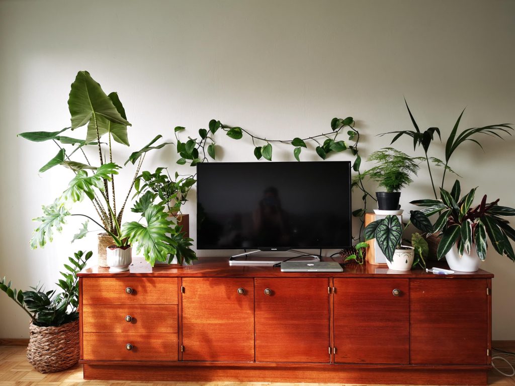 Decorate Your TV Stand