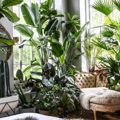 Decorating with Plants: 21 Most Awesome Spaces