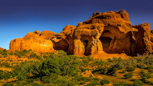 Desert Rock Gardens