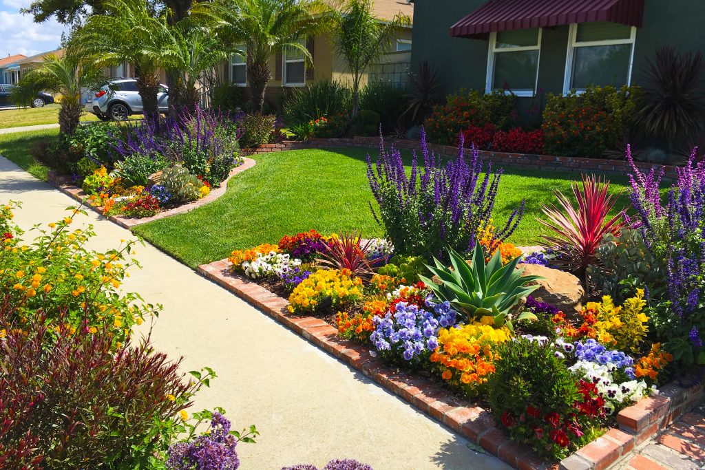 Fill Your Yard with a Variety of Plants