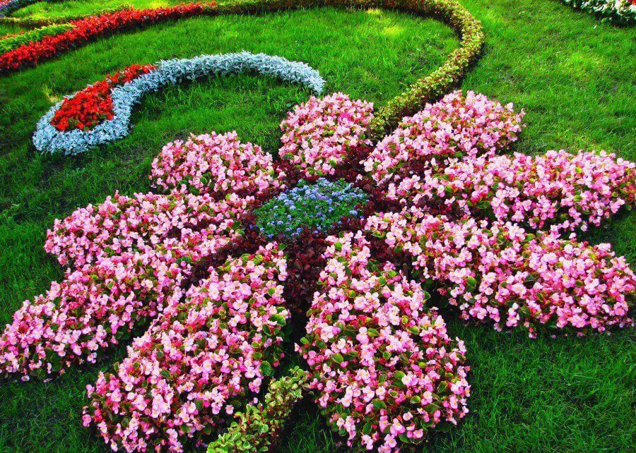 Flower Shaped Flower Bed