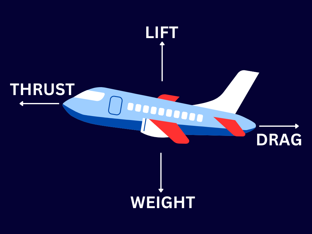 Fundamental Principles of Flight