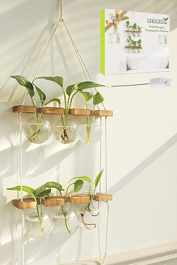 Glass Wall Hanging Planter