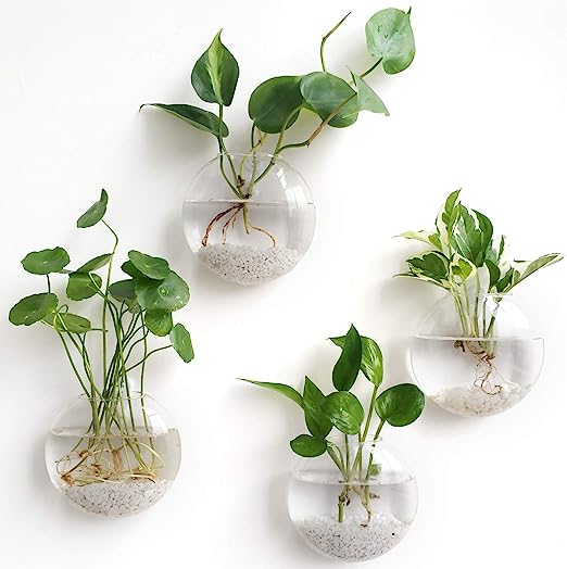 Glass Wall Hanging Planter