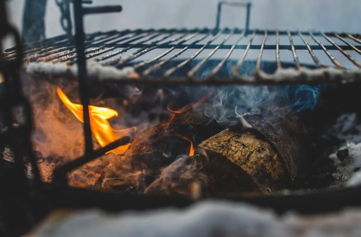  Greenhouse Shed with Fire Pit