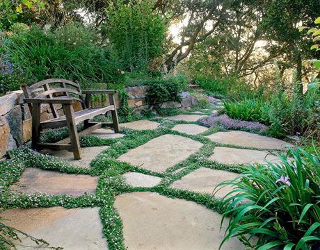 Grow Plants Between The Flagstones