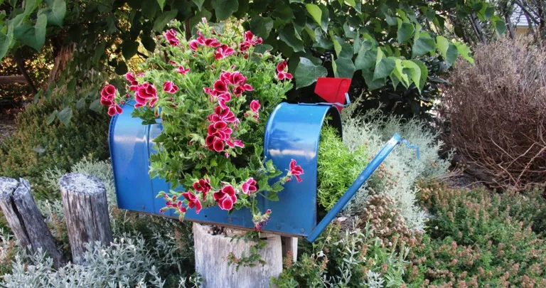 Hanging Flower Basket