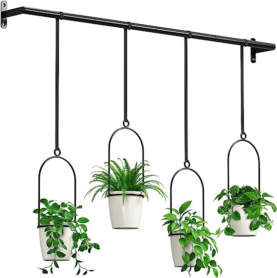 Hanging Planters for Wall and Ceiling