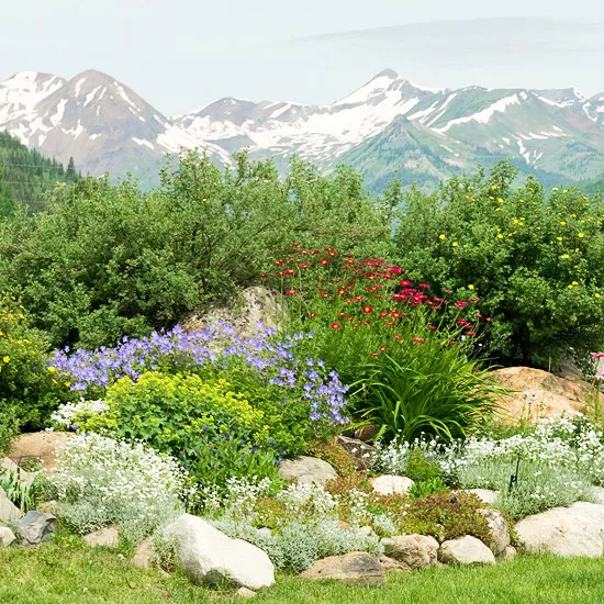 High Altitude Planting