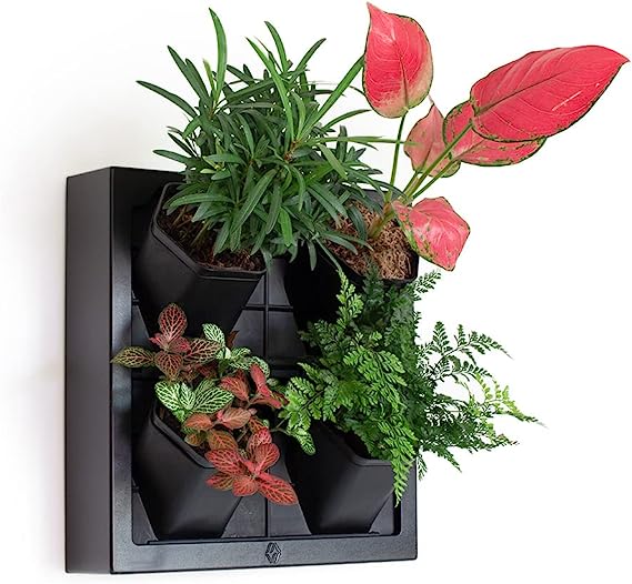 Jungle Inspired Self Watering Wall Planter