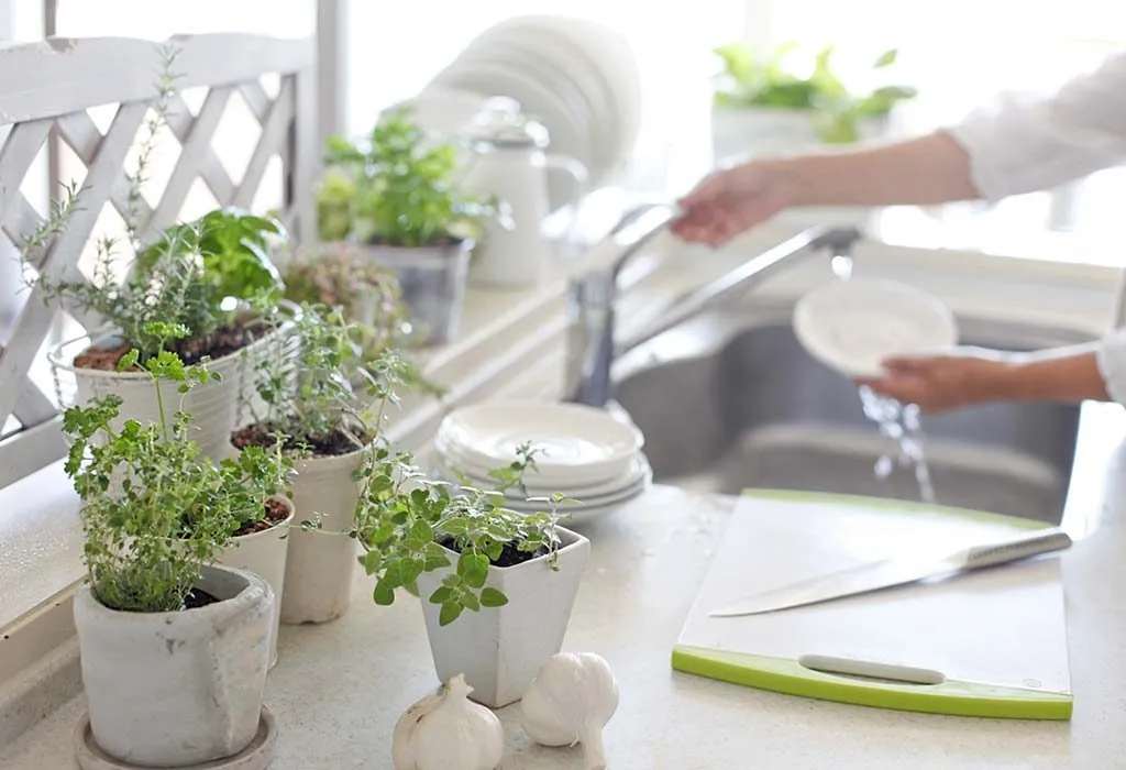 Kitchen Garden