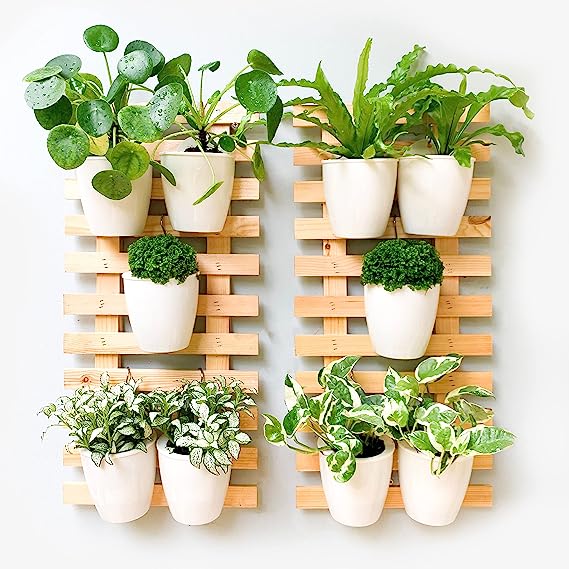 Ladder Style Wall Planter