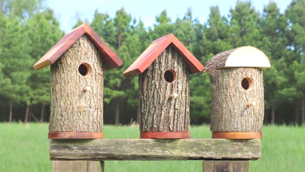 Log Birdhouse