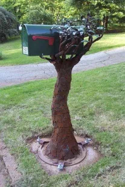 Mailbox on a Tree Branch.jpg