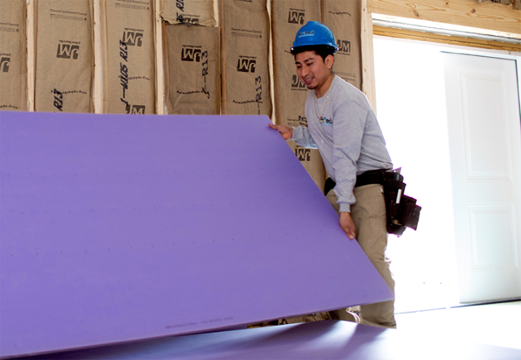 Mold-Resistant Drywall (Purple Board)
