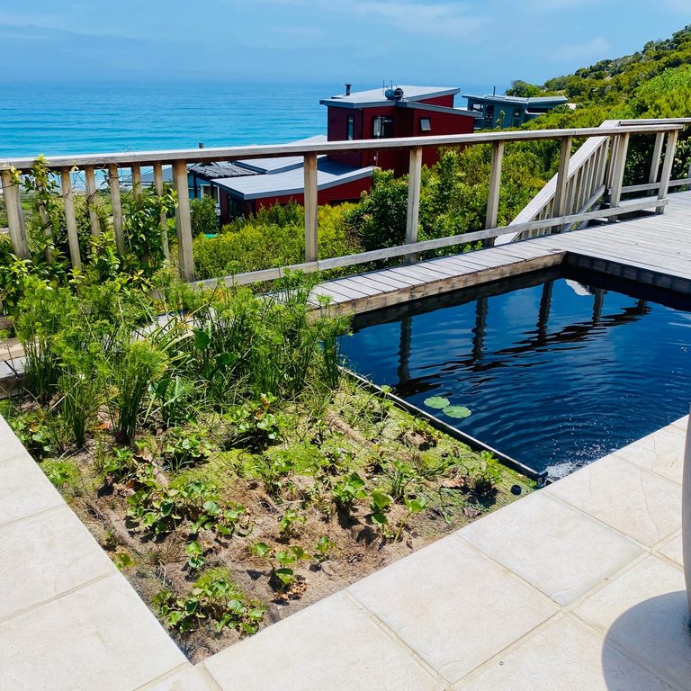 Natural Pool with a Floating Wetland