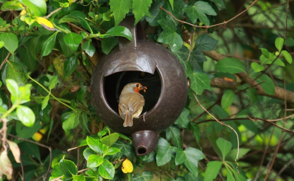 Old Tea Pot Birdhouse