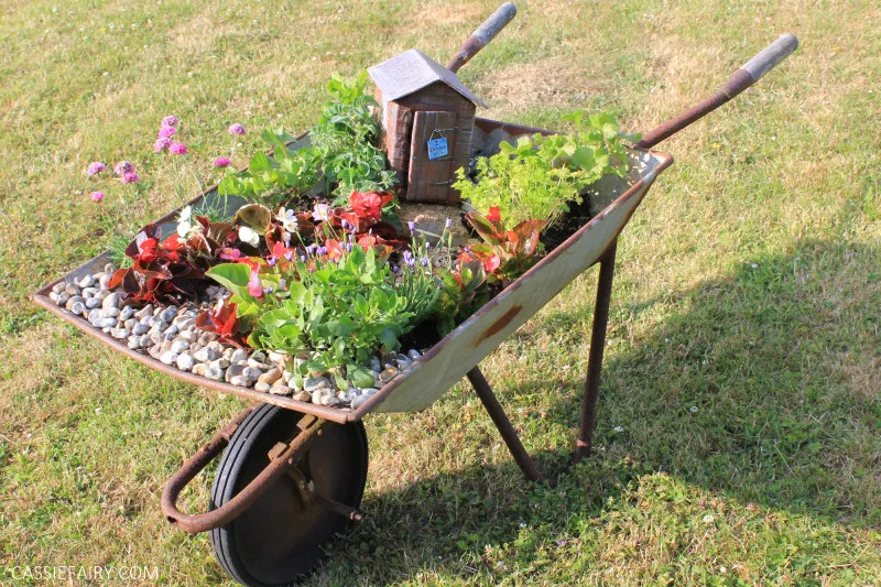 Plant In a Wheelbarrow