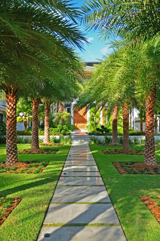 Plant Rows of Trees