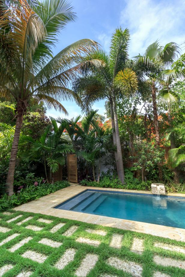 Pool and Palm Trees - Best Combination Ever