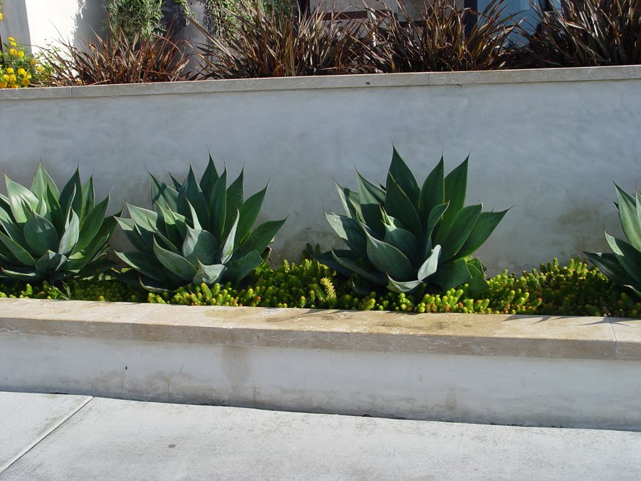 Poured Concrete Retaining Wall