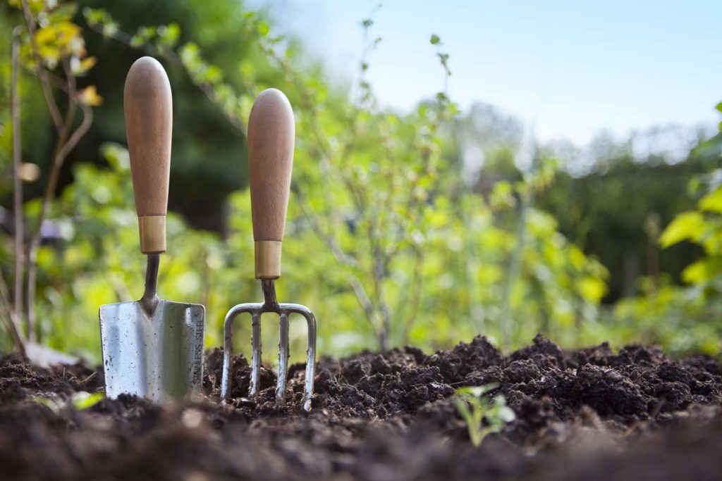 Prepare the Flower Bed