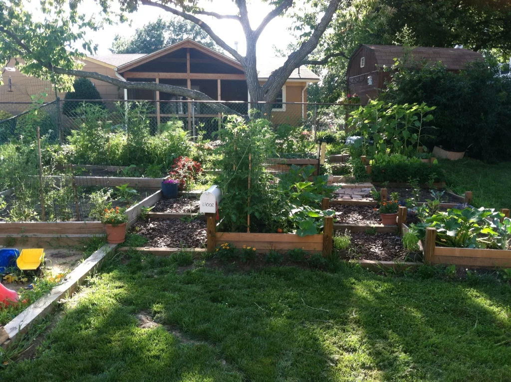 Raised Garden Beds