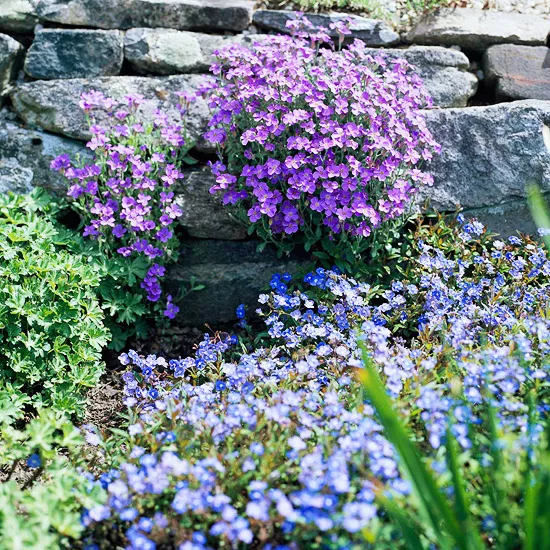 Rock Garden Color Combination.jpg