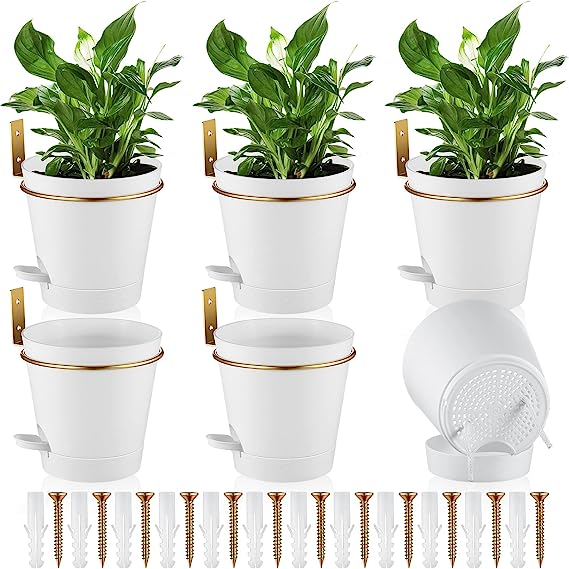 Self Watering Wall Mounted Planter