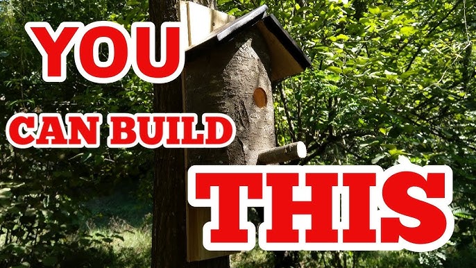 Things to Keep in Mind Before Starting DIY Birdhouse Plans
