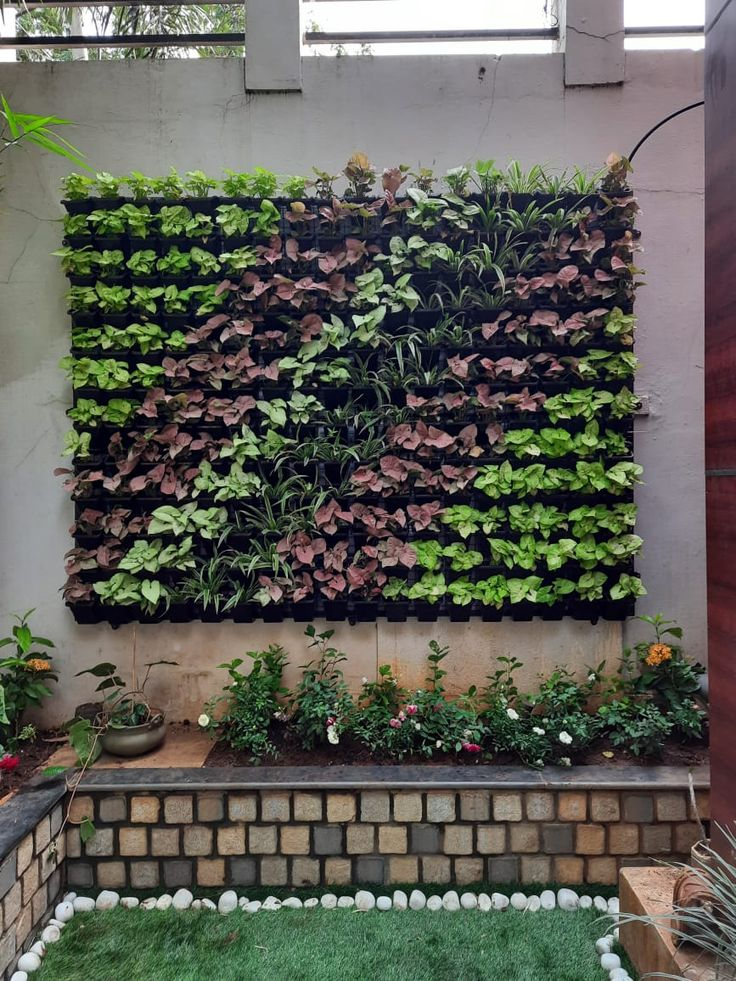 Vertical Garden Wall