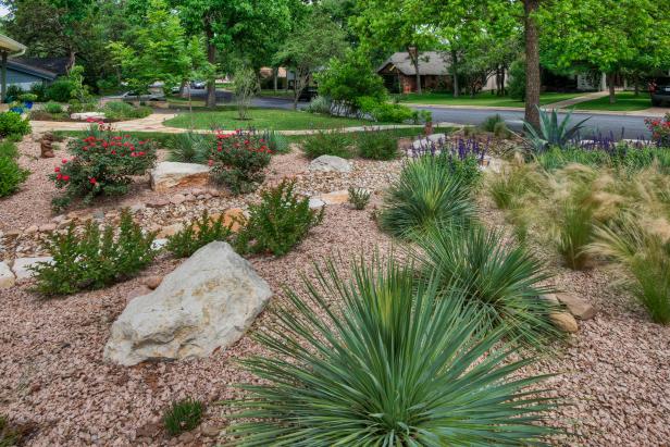 Xeriscaping